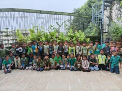 GREEN COLOUR DAY — photo 4