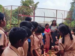Eco Club Activities — photo 5