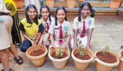 Eco Club Activities — photo 7