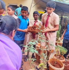Eco Club Activities — photo 8